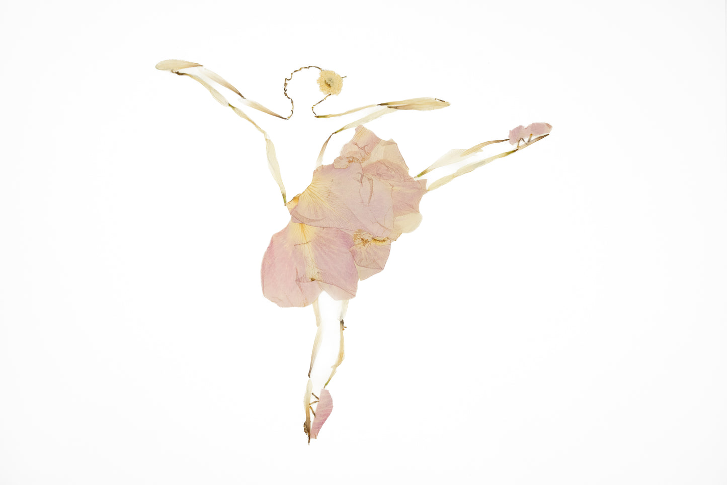 Ballerina