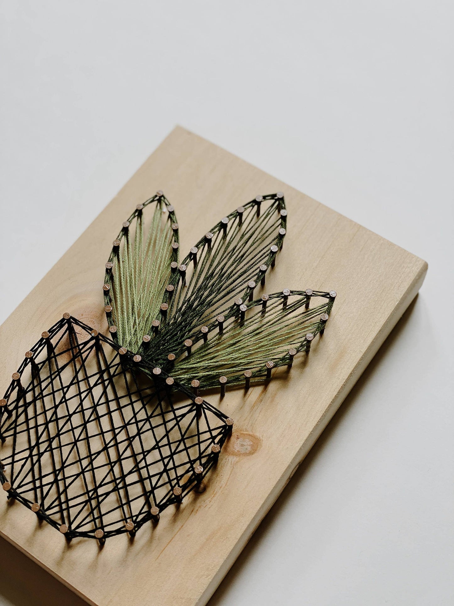 Plant DIY String Art Kit