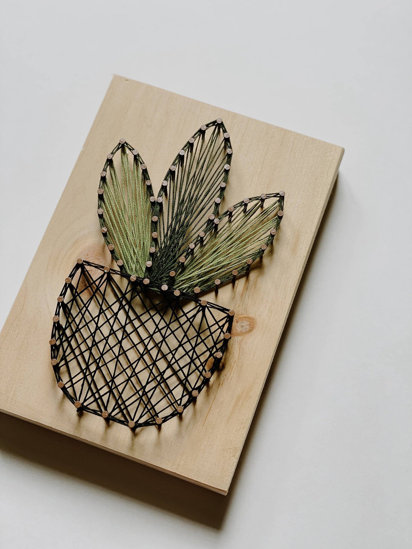 Plant DIY String Art Kit