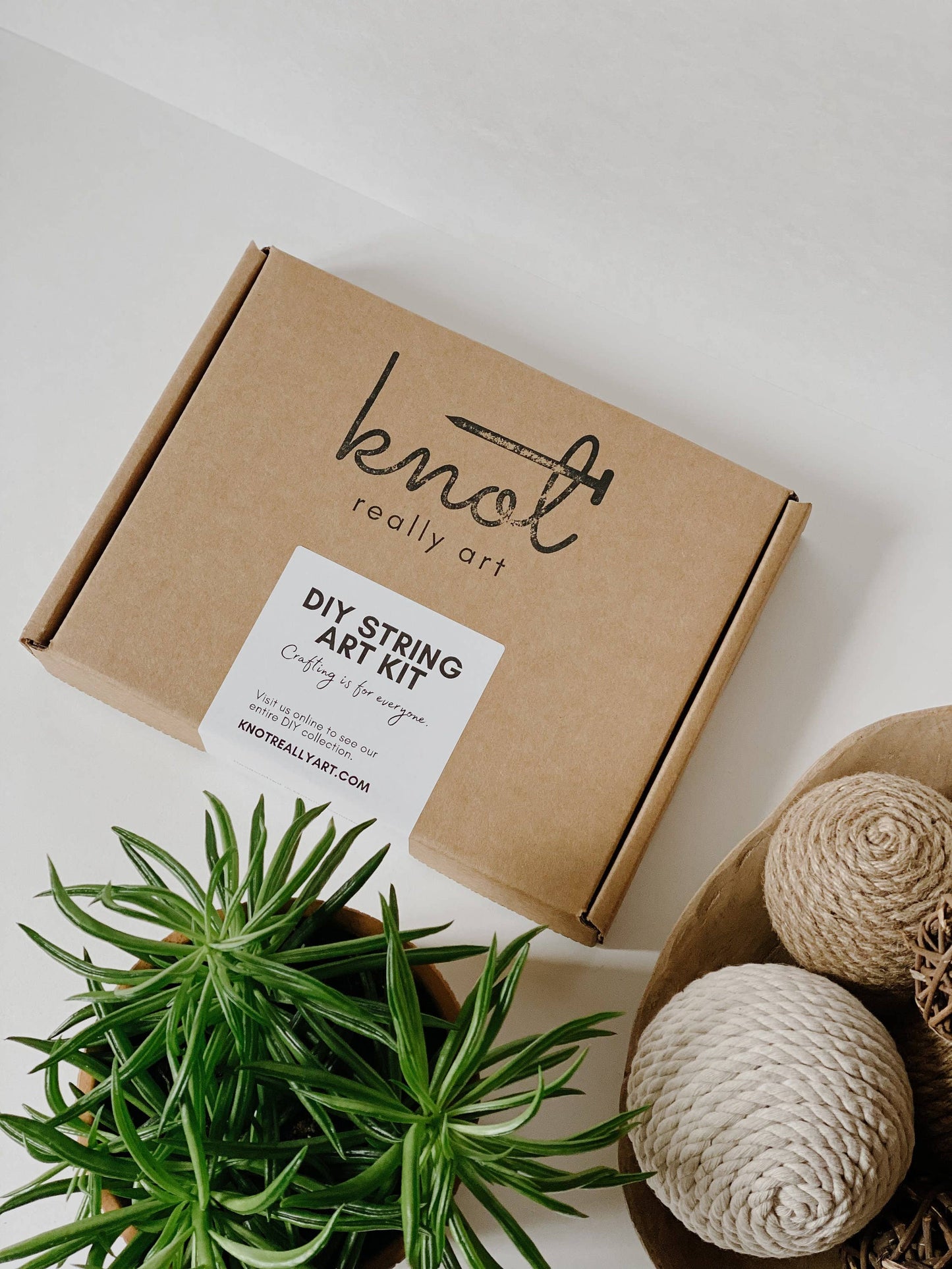 Plant DIY String Art Kit