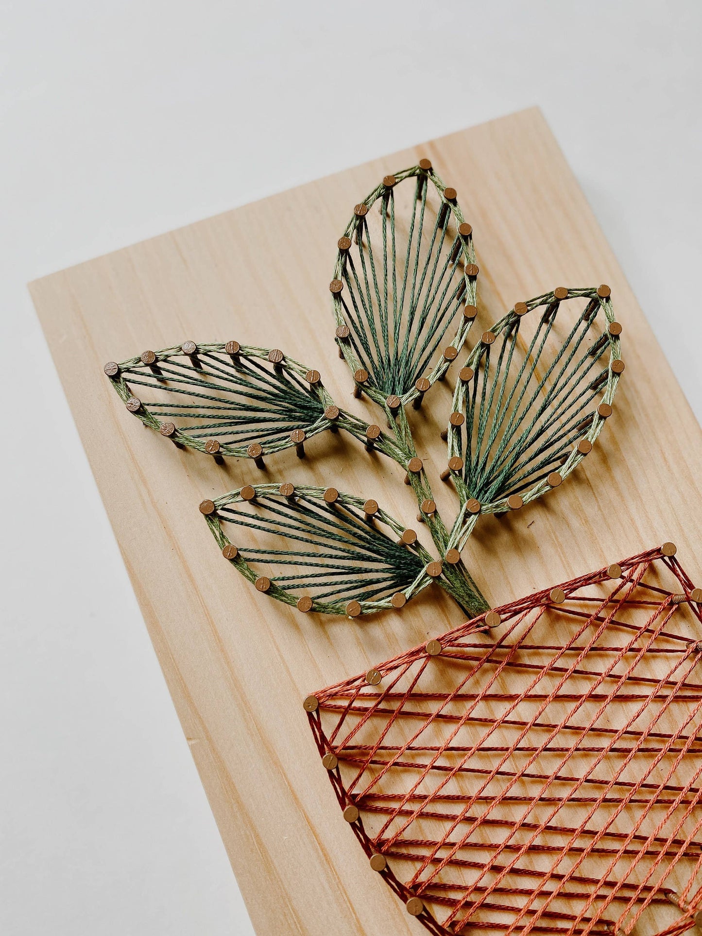 Rubber Plant DIY String Art Kit