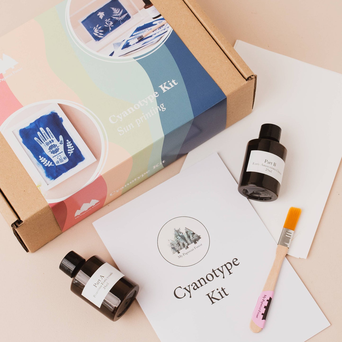 Cyanotype Kit, DIY sun printing, botanical solar printing