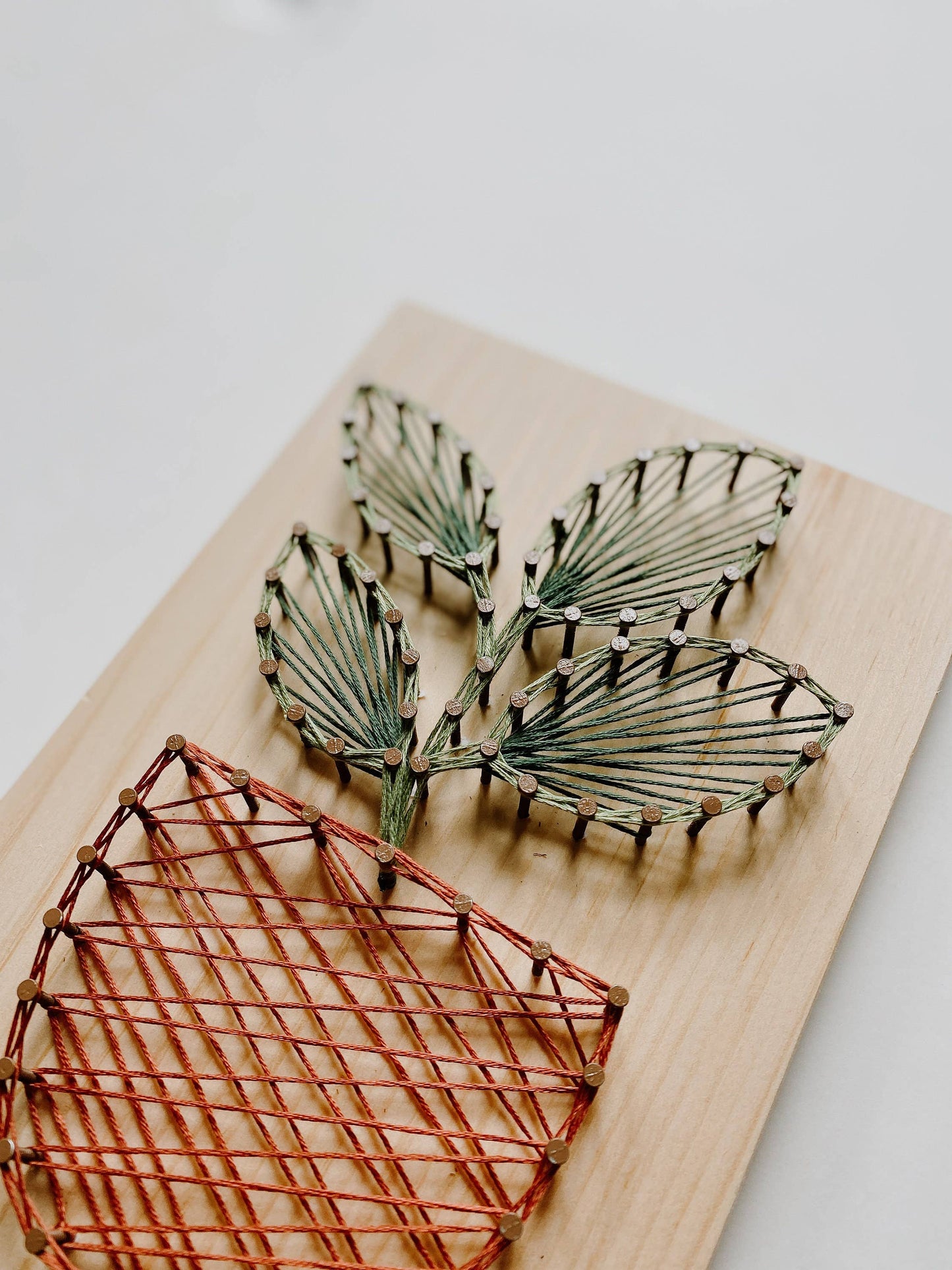 Rubber Plant DIY String Art Kit