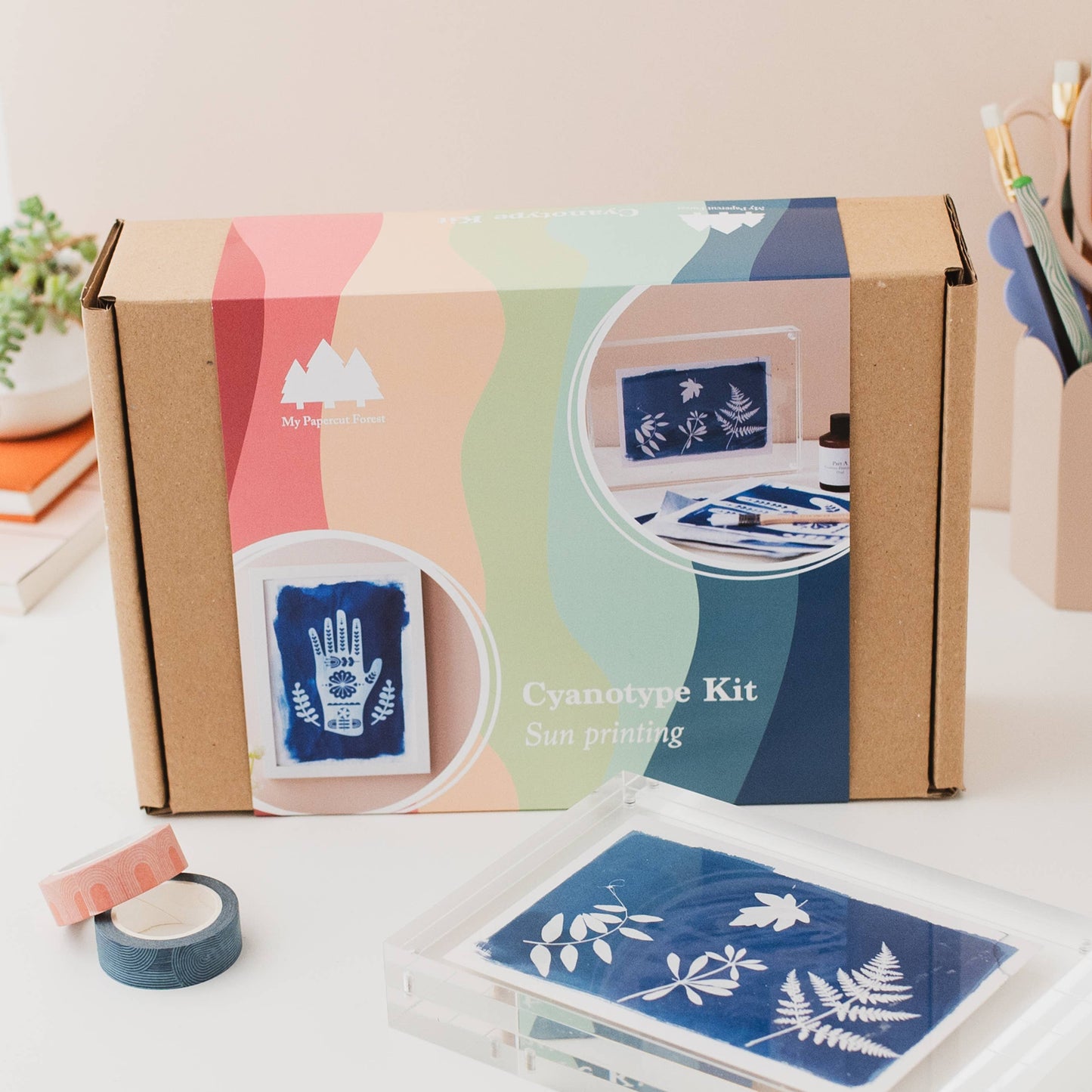 Cyanotype Kit, DIY sun printing, botanical solar printing