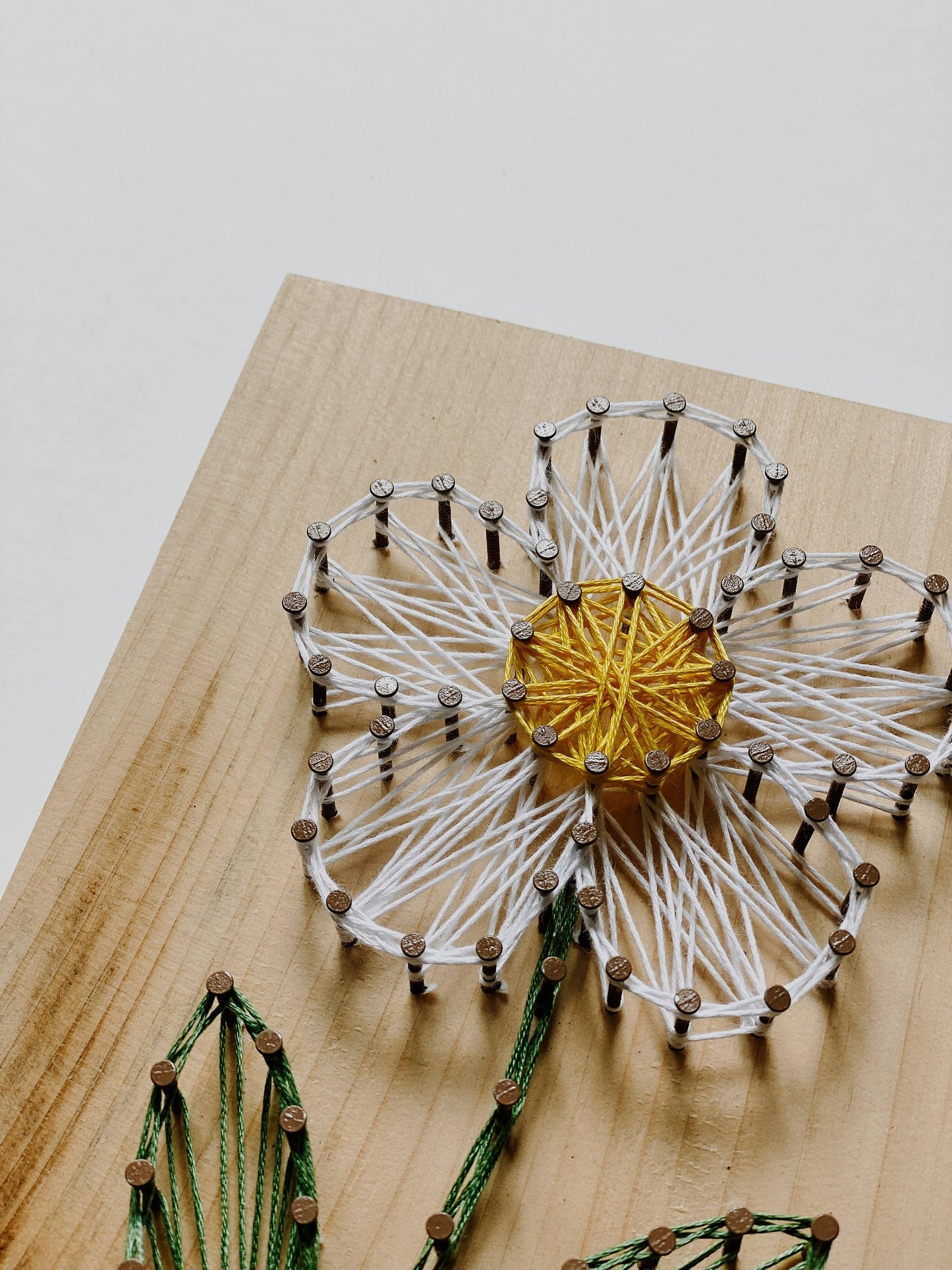 Daisy DIY String Art Kit