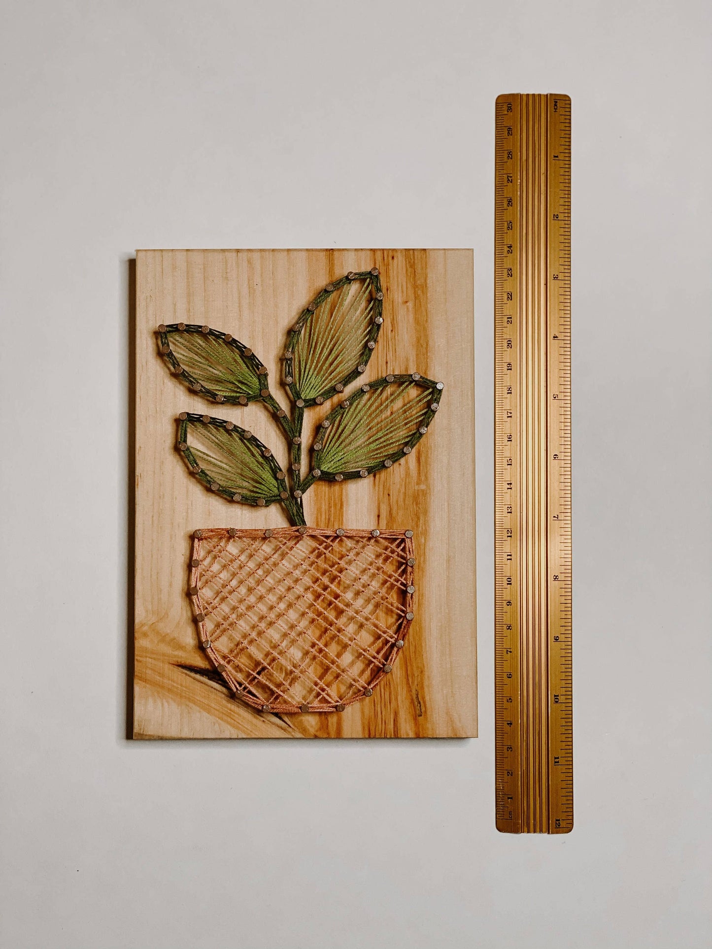 Rubber Plant DIY String Art Kit