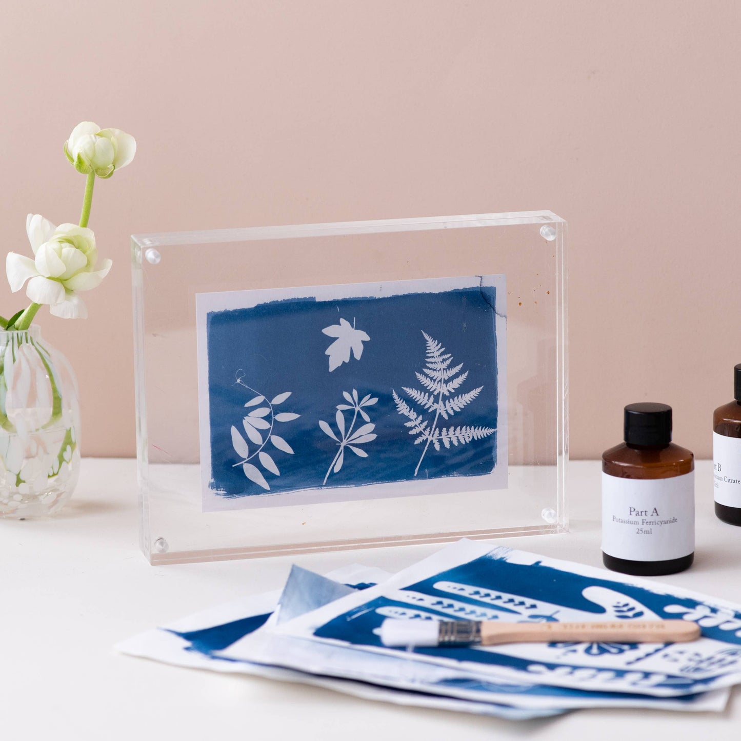 Cyanotype Kit, DIY sun printing, botanical solar printing