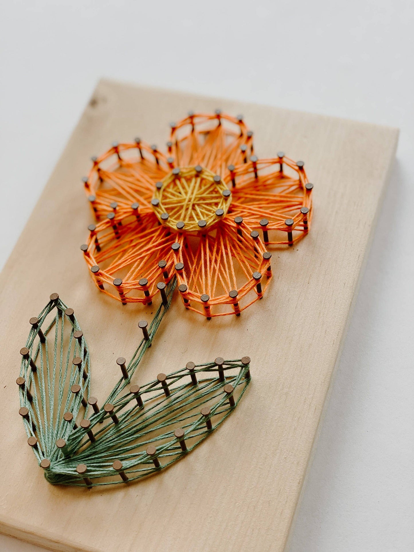 Daisy DIY String Art Kit