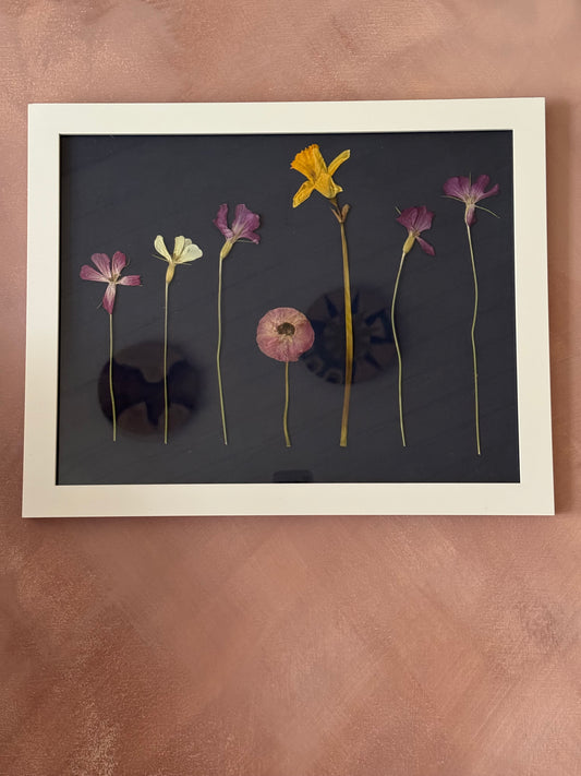 Pressed Spring Flowers