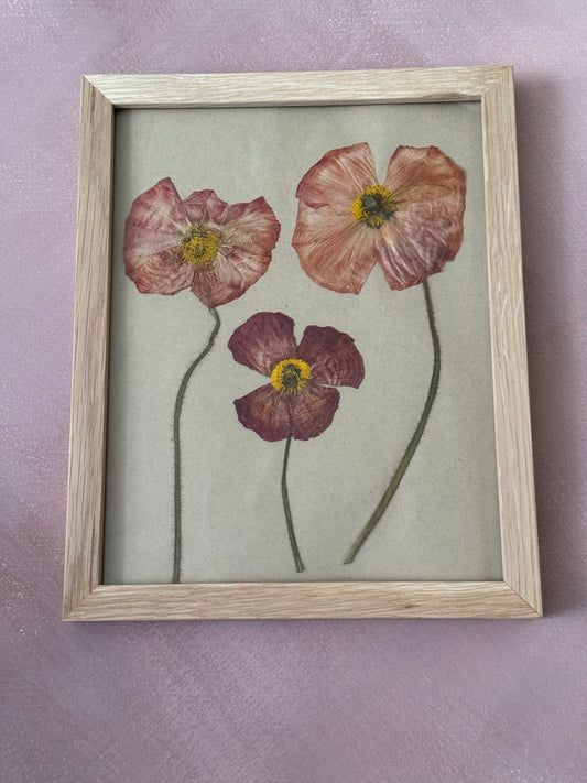 Pressed Poppies Print in Wood Frame