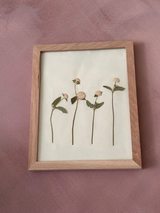 Pressed Gomphrena Original In Wood Frame