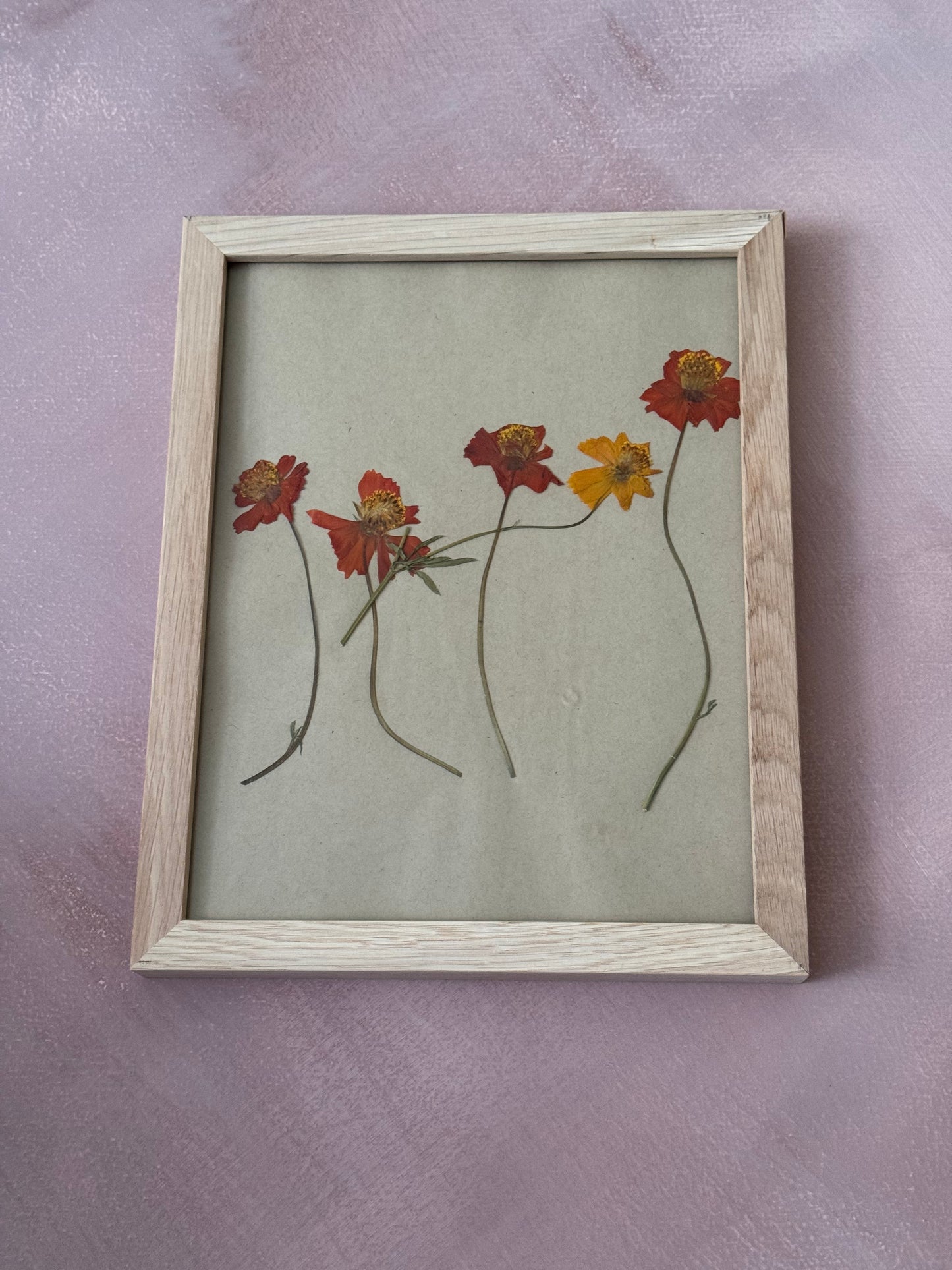 Pressed Cosmos #1 Original in Wood Frame