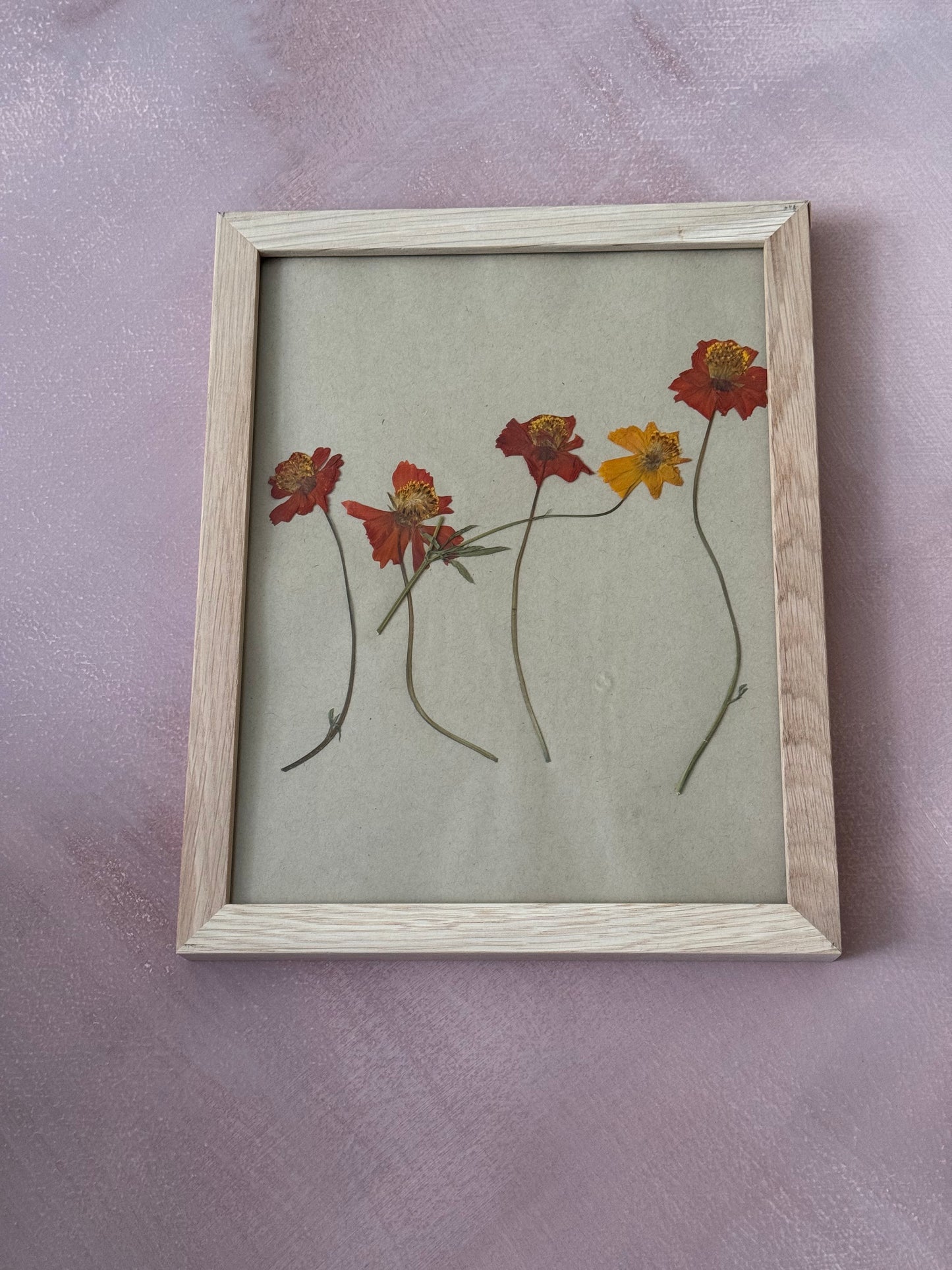 Pressed Cosmos #1 Original in Wood Frame