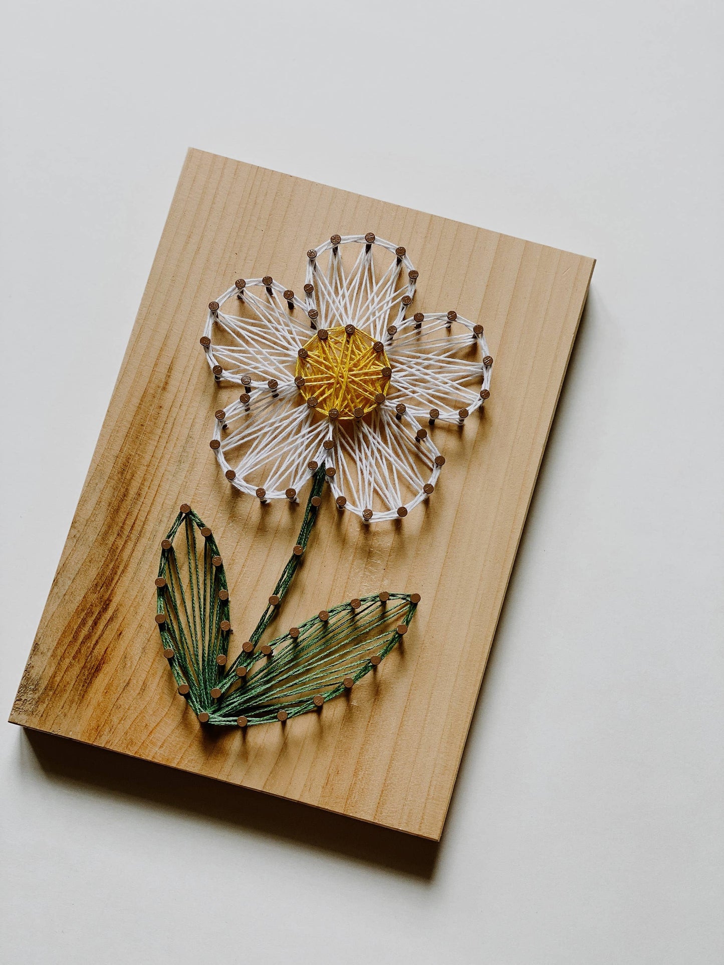 Daisy DIY String Art Kit