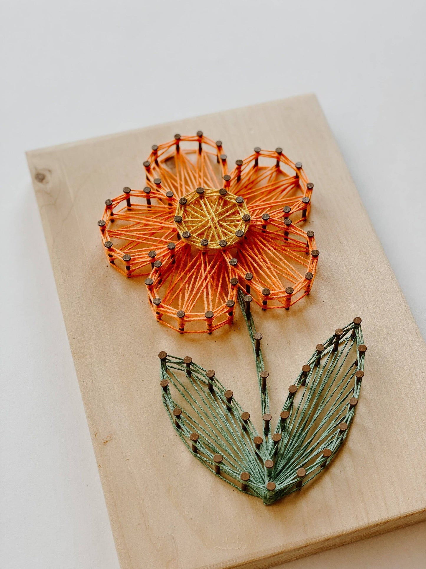 Daisy DIY String Art Kit