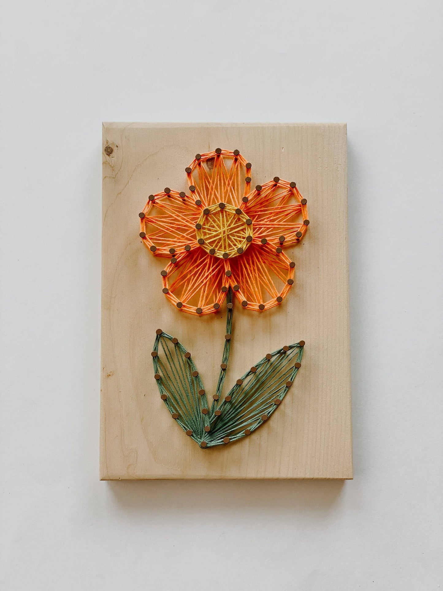 Daisy DIY String Art Kit