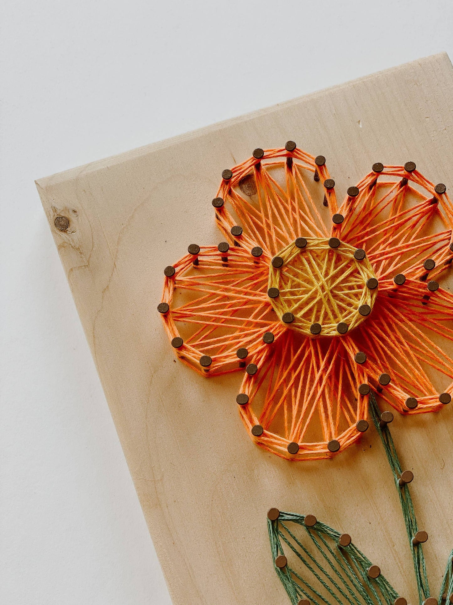 Daisy DIY String Art Kit